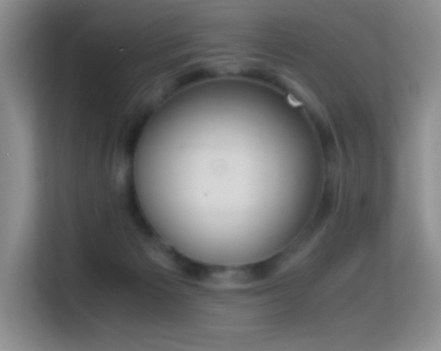 X0000114680125200910211218