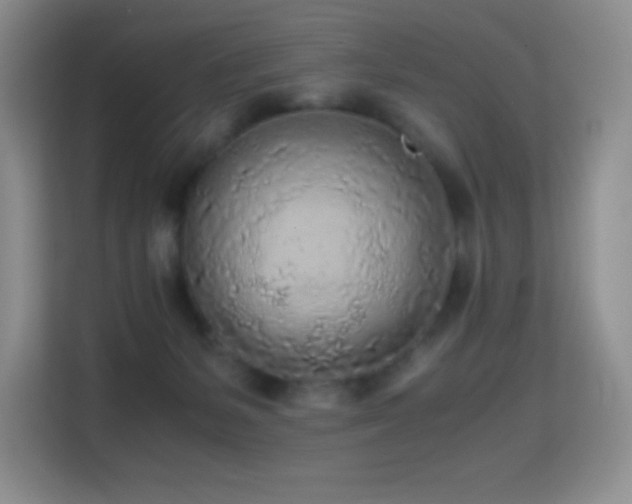 X0000114680127200910211218