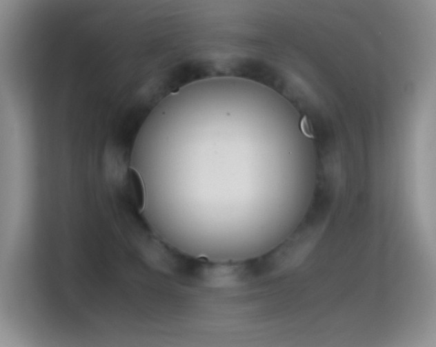 X0000114680129200910211218