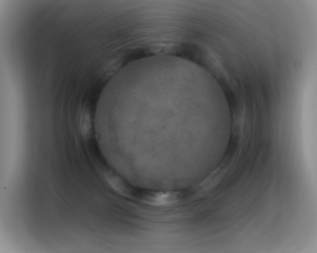 X0000114680130200910211218