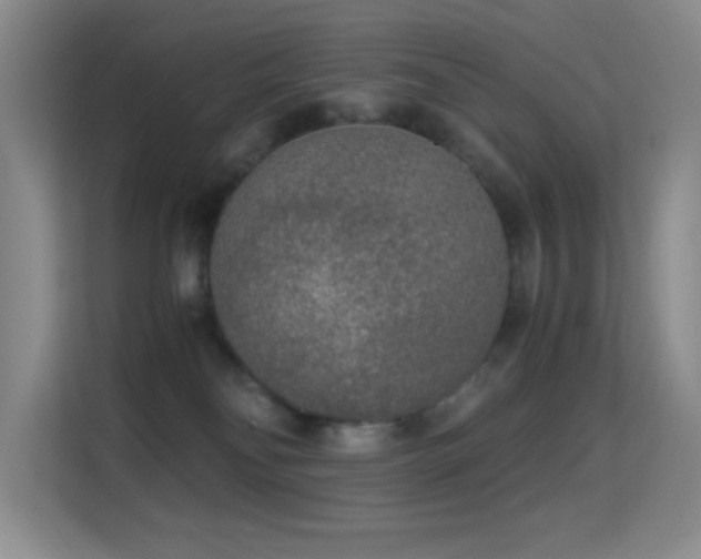 X0000114680134200910211218