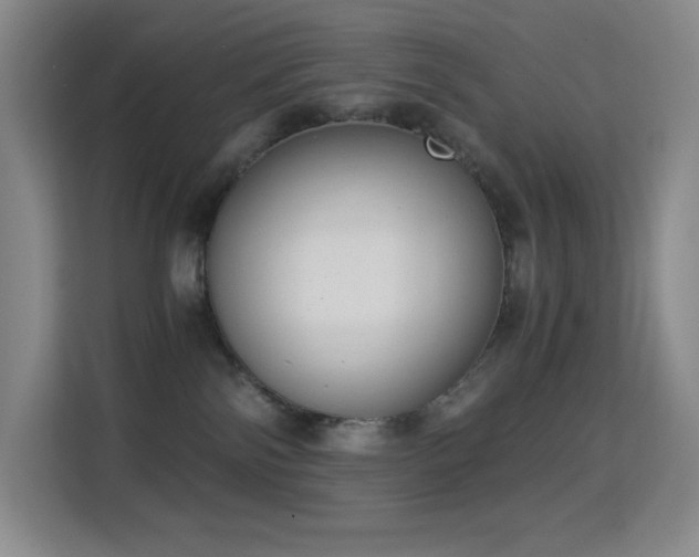X0000114680138200910211218