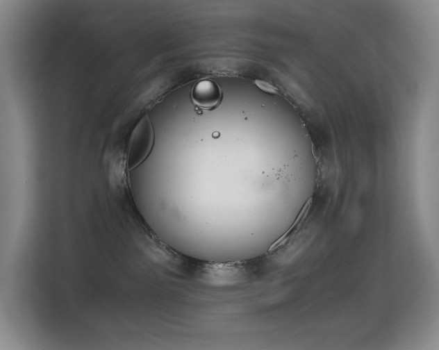 X0000114680141200910211218