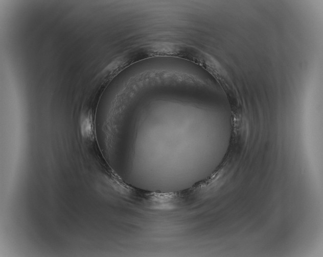 X0000114680143200910211218