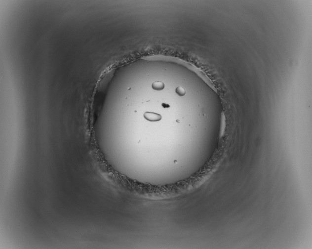 X0000114680144200910211218