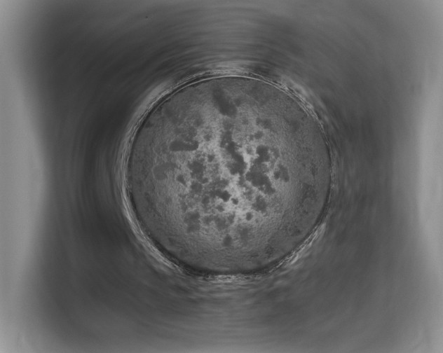 X0000114680145200910211217