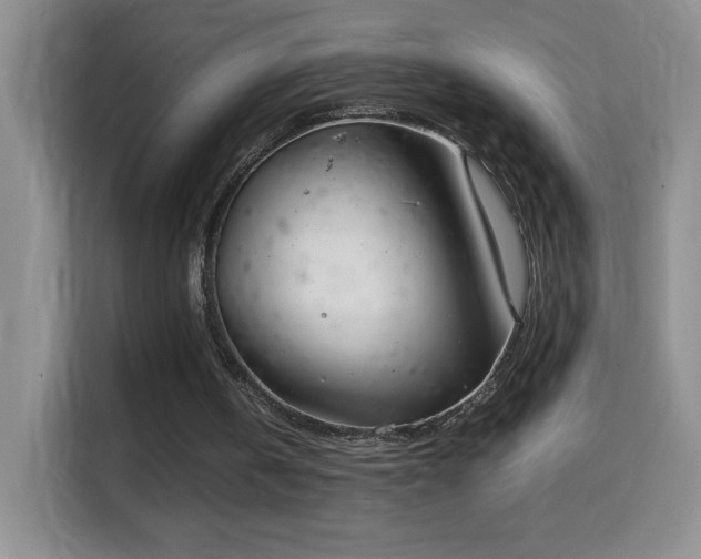 X0000114680146200910211217