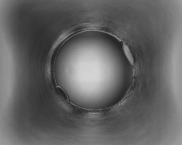 X0000114680150200910211217