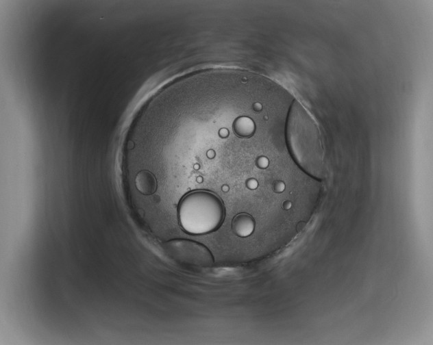 X0000114680151200910211217