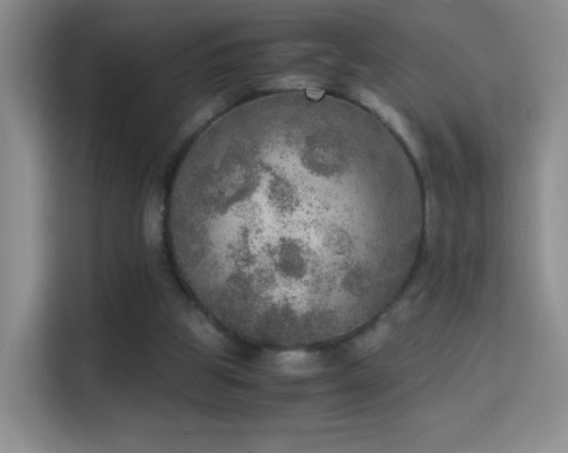 X0000114680153200910211217