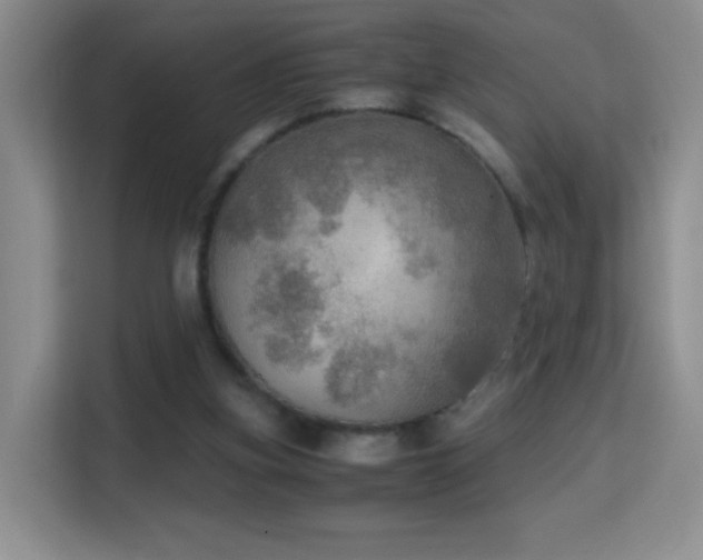 X0000114680155200910211217