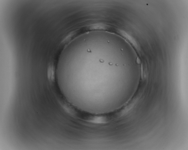 X0000114680157200910211217
