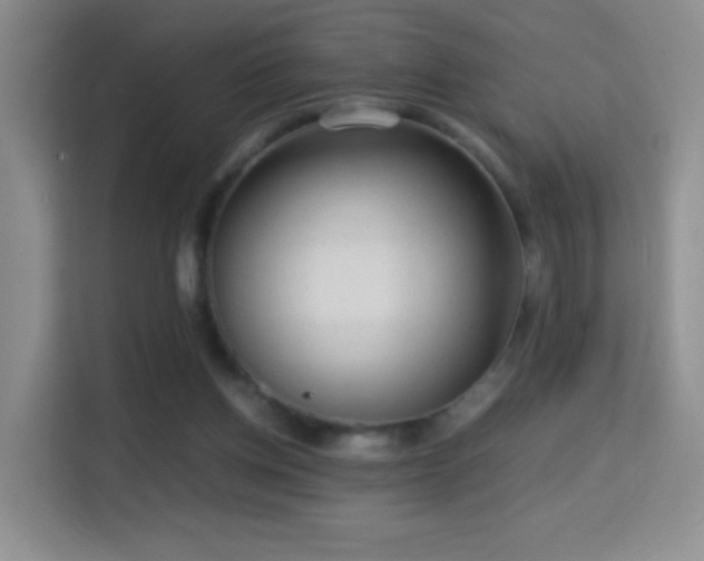 X0000114680158200910211217