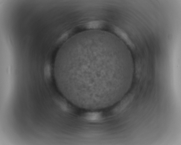 X0000114680161200910211217