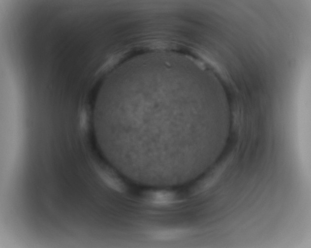X0000114680165200910211217