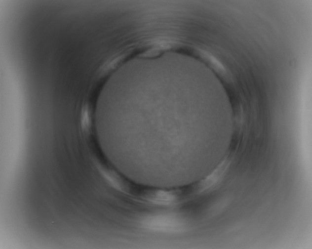 X0000114680166200910211217