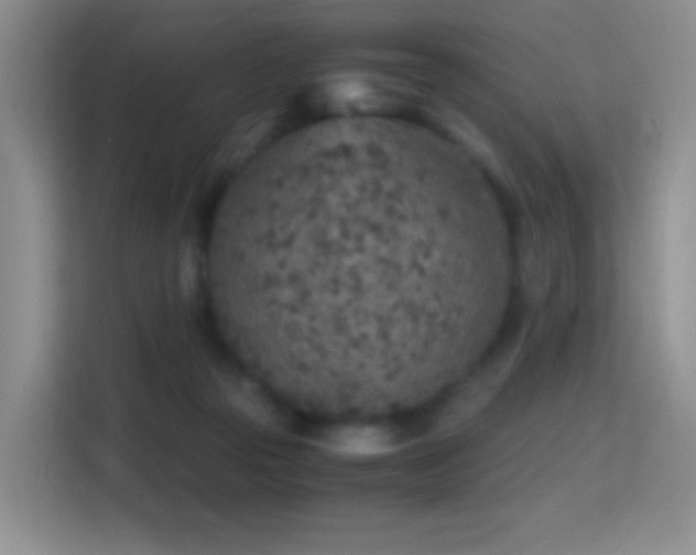 X0000114680169200910211217