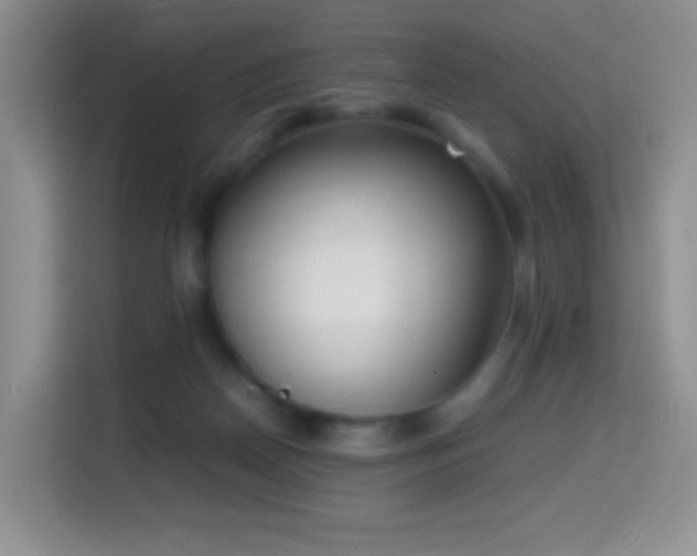 X0000114680170200910211217