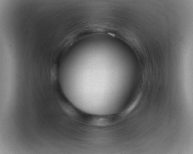 X0000114680174200910211217