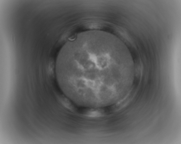 X0000114680175200910211217