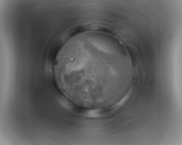 X0000114680178200910211217