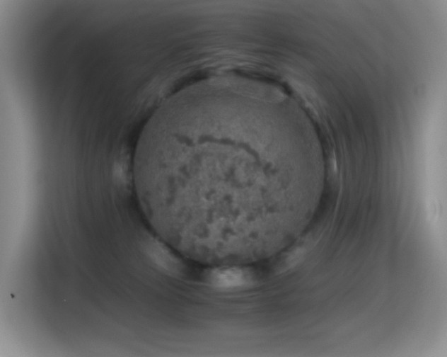 X0000114680181200910211217