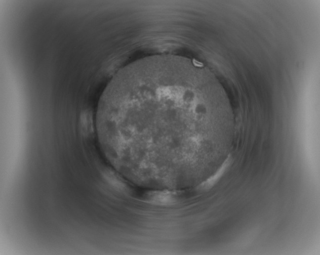 X0000114680182200910211217