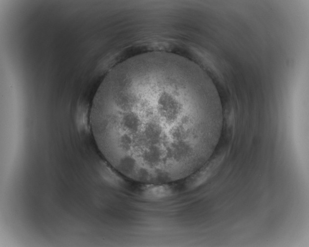 X0000114680185200910211217