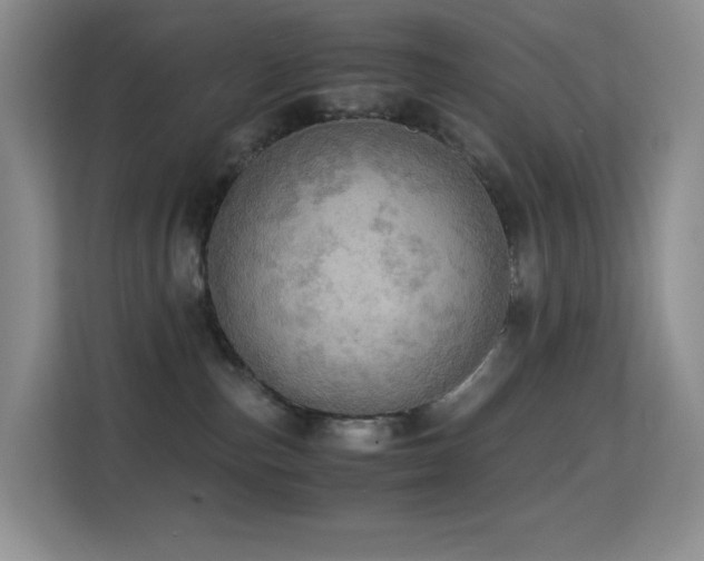 X0000114680187200910211217