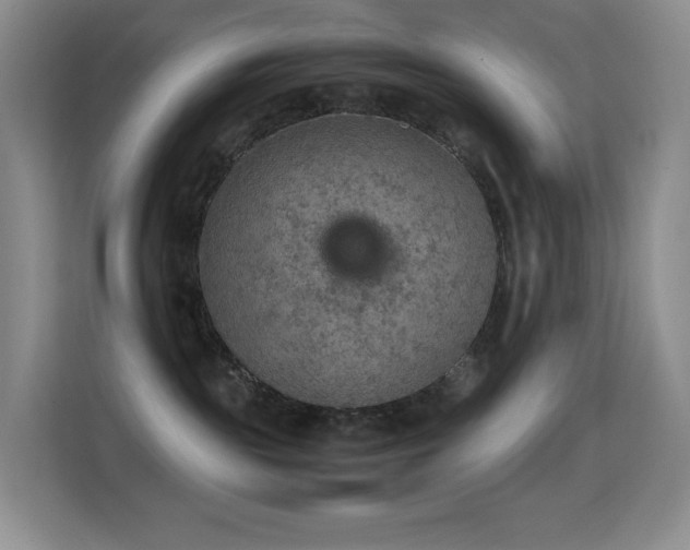 X0000114680189200910211218