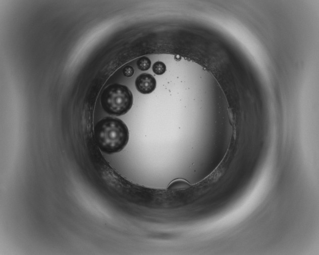 X0000114680190200910211218