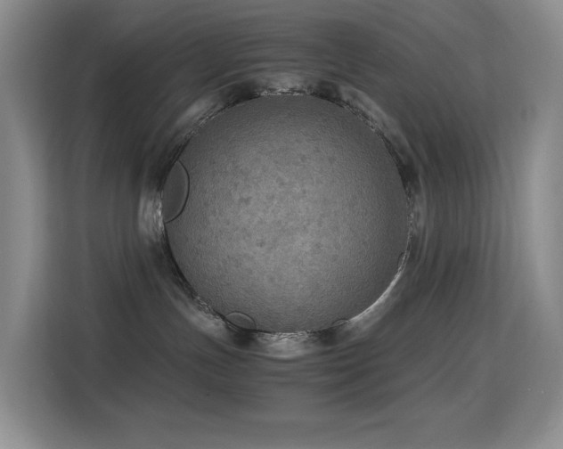 X0000114680191200910211218