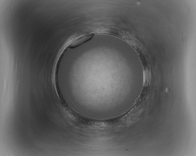 X0000114680195200910211217