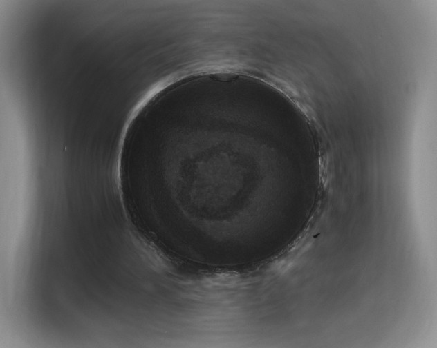X0000114680196200910211217