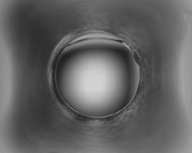 X0000114680197200910211217