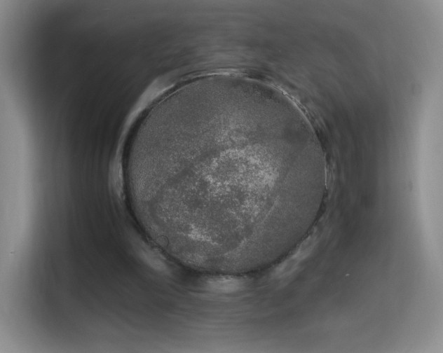 X0000114680198200910211217