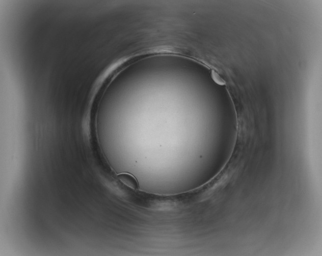 X0000114680200200910211217