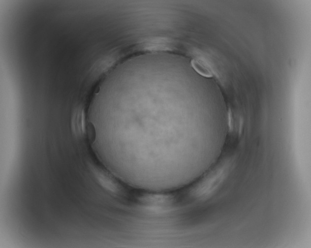 X0000114680205200910211217
