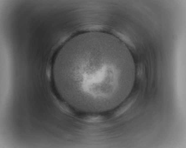 X0000114680206200910211217