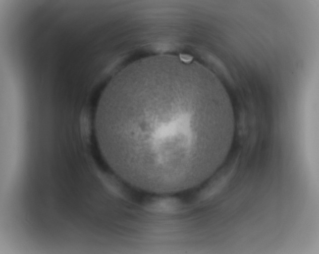 X0000114680210200910211217