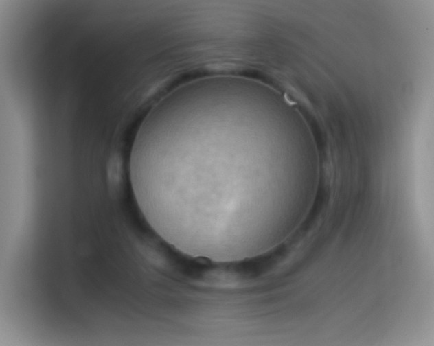 X0000114680211200910211217