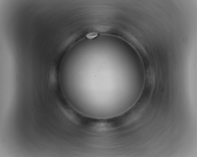 X0000114680212200910211217