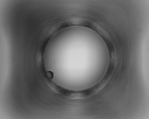X0000114680213200910211217
