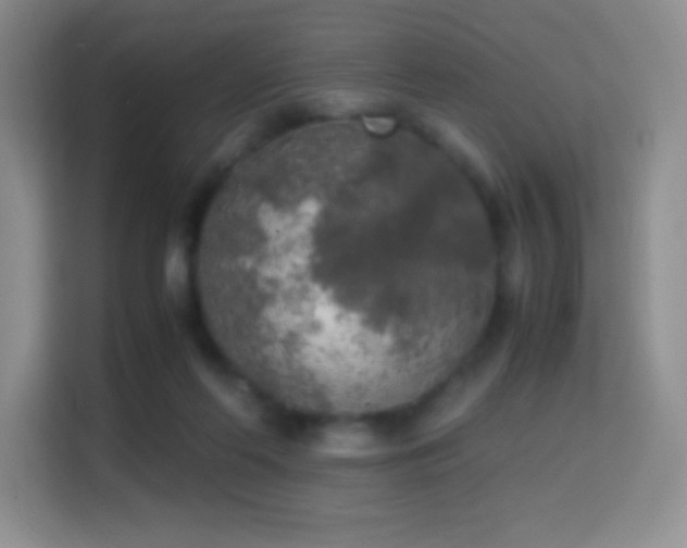 X0000114680214200910211217