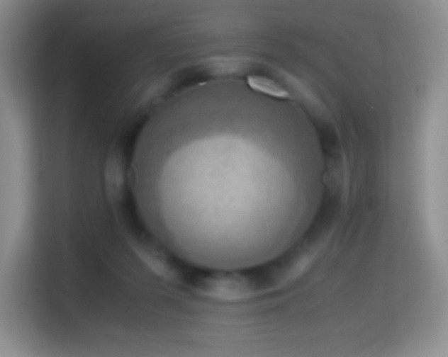 X0000114680215200910211217