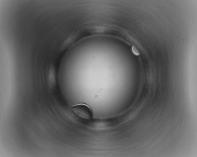 X0000114680216200910211217