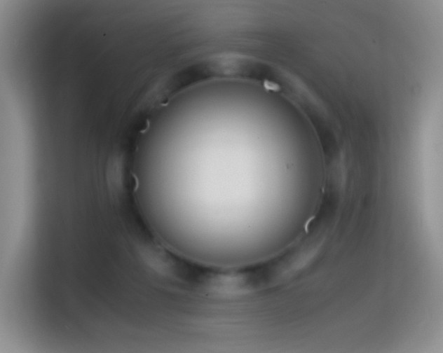 X0000114680217200910211217
