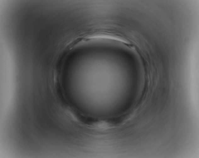 X0000114680219200910211217