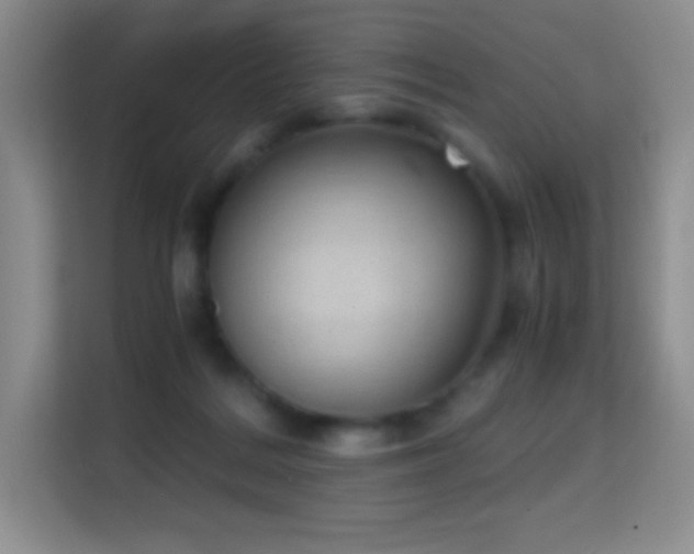 X0000114680220200910211217