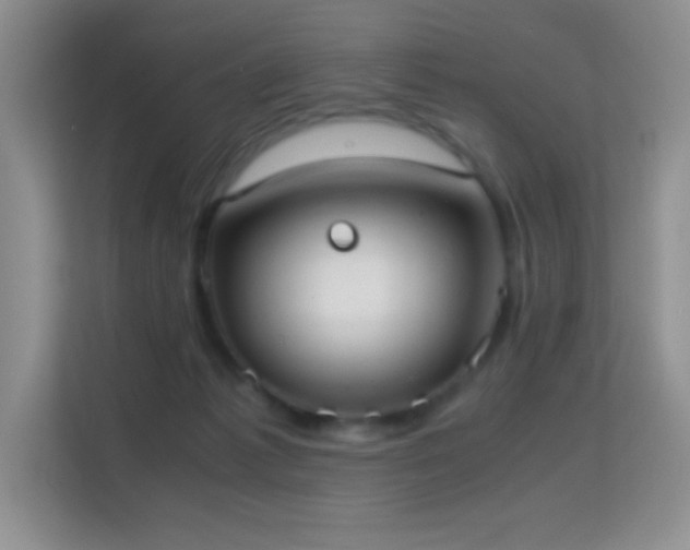 X0000114680221200910211217
